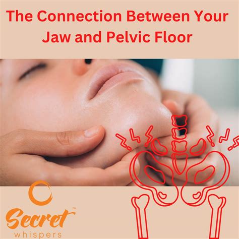 The Connection Between Your Jaw and Pelvic Floor | Secret Whispers