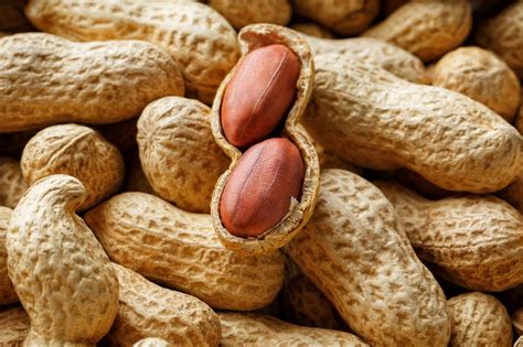 Groundnut, the Earthnut of Great Value