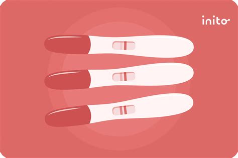 Pregnancy Test Progression: What Should It Look Like?
