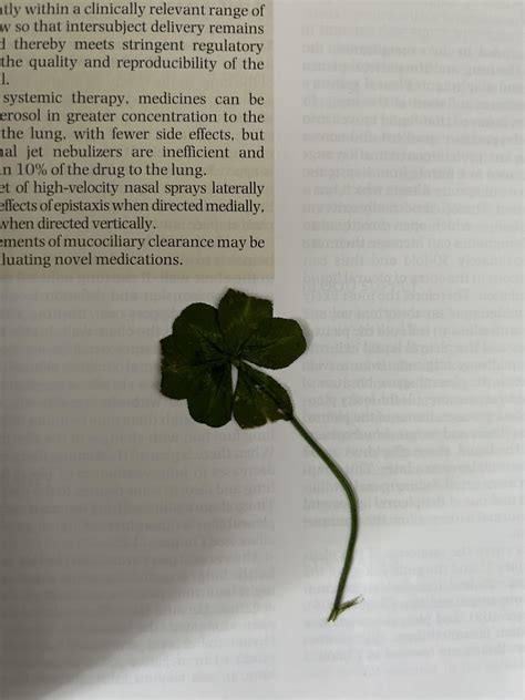 Question: How rare is a 6 leaf clover. Unsure how excited I should be ...