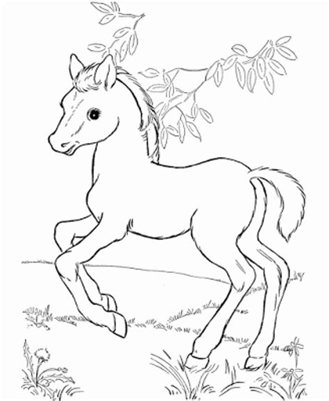 Cute Horse Coloring Pages at GetColorings.com | Free printable ...