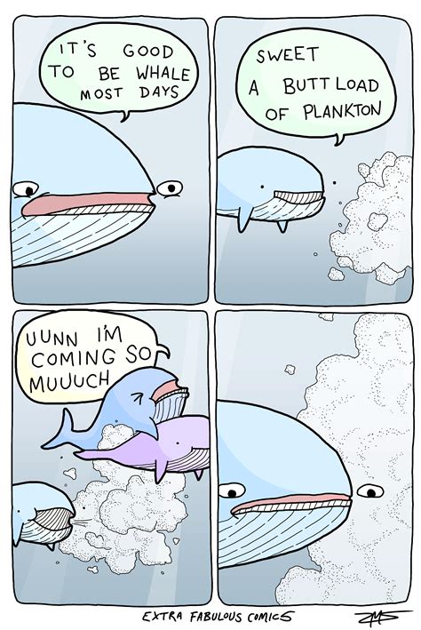 whale pictures and jokes / funny pictures & best jokes: comics, images ...