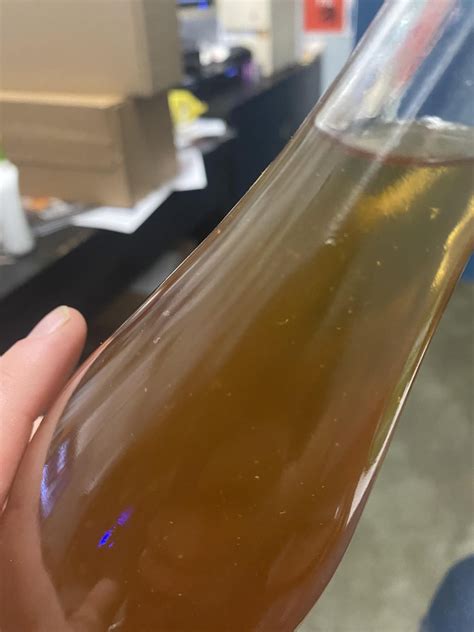 Strange stringy white floaties in bottled cider : r/cider