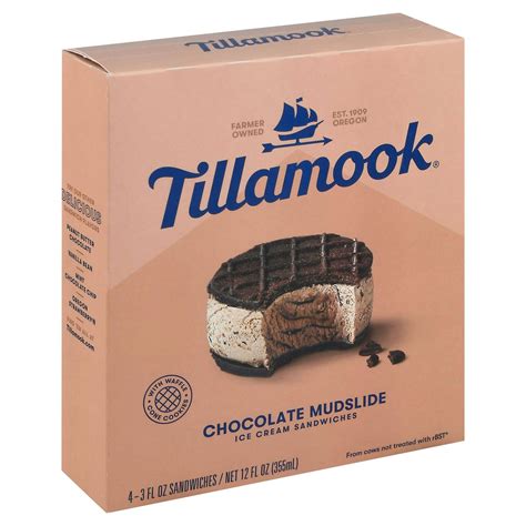 Tillamook Ice Cream Sandwiches, Chocolate Mudslide-Main