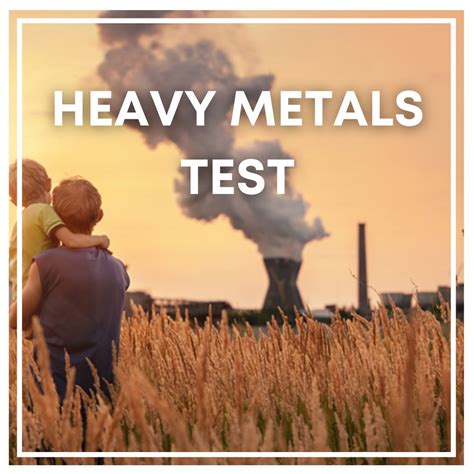 Discover Your Heavy Metal Burden with a Urine Heavy Metals Test