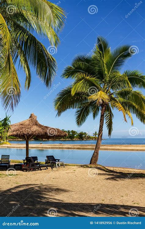 Beach Chairs Near the Ocean in Nadi Fiji Stock Photo - Image of natural ...
