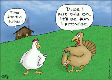 Turkey humor | Funny thanksgiving pictures, Happy thanksgiving funny ...