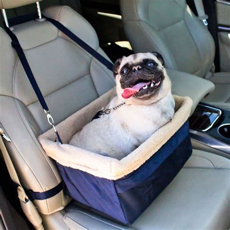 Top 10 Best Dog Car Seats in 2026 Reviews | Buyer's Guide