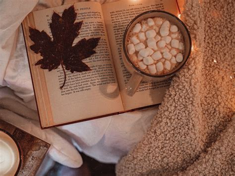 YA Mystery Novels to Read this Fall - Our Future Reads