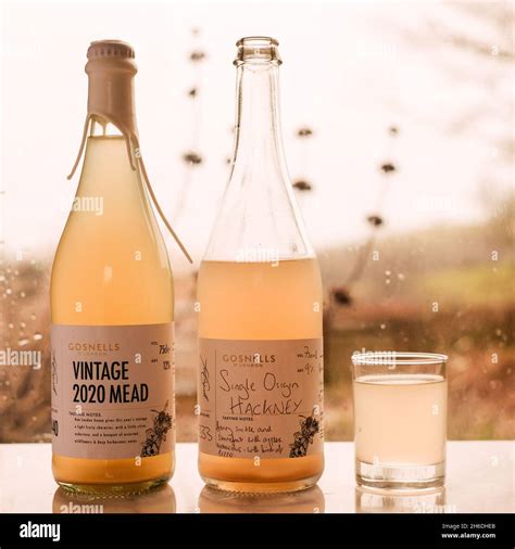 Define Mead Drink at Kathy Yancey blog