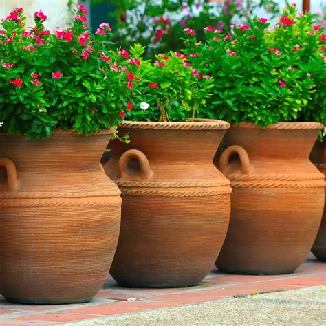 Large Terracotta Pots Decorative - Garden Plant