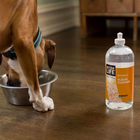 Top Mint Floor Cleaner For Home Style