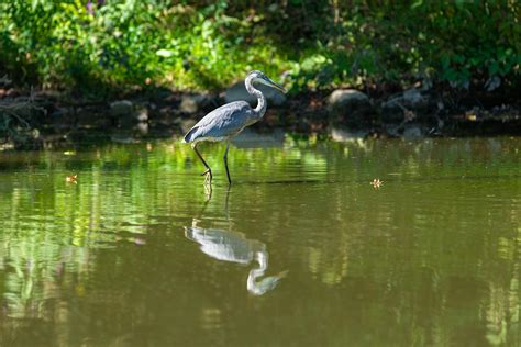 Panty+Legs+Spread Photos, Download The BEST Free Panty+Legs+Spread Stock Photos & HD Images