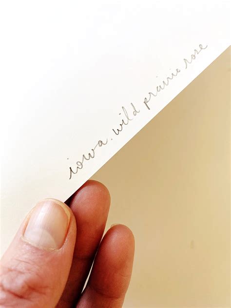 IOWA State Flower Map: Wild Prairie Rose: PRINT — Turn-of-the-Centuries