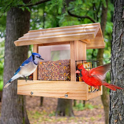 Amazon.com : Bird Feeders for Outdoors Hanging - Cardinal Bird House ...