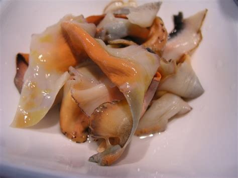 What Is A Conch Look Like at Doris Dobos blog
