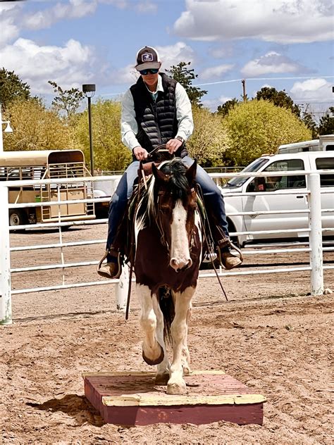 NMQHA – NEW MEXICO QUARTER HORSE ASSOCIATION
