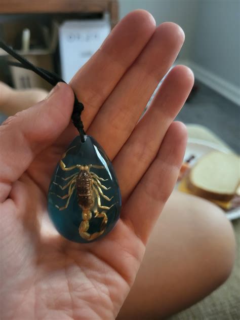 Deathstalker Scorpion