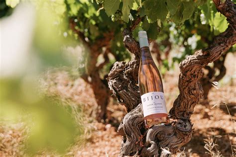 Molson Coors launches alcohol-free Madrí Excepcional