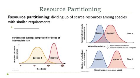 PPT - Population and Community Ecology PowerPoint Presentation, free ...