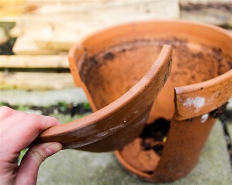 How to clean terracotta pots: give your planters a spruce | Gardeningetc
