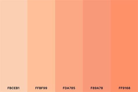 Tangerine Color Scheme