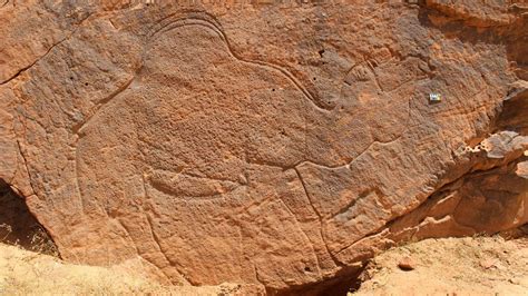 Life-size animal rock carvings found in Saudi Arabian desert