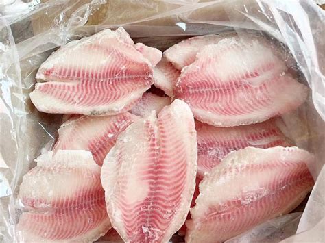 Frozen Seafood Fish Oreochromis Niloticus Tilapia Fillet Peeling Skin ...