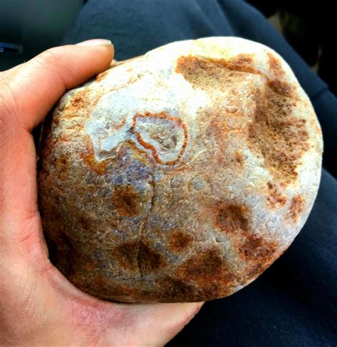 2 pound 2 ounce lake superior agate : r/rockhounds