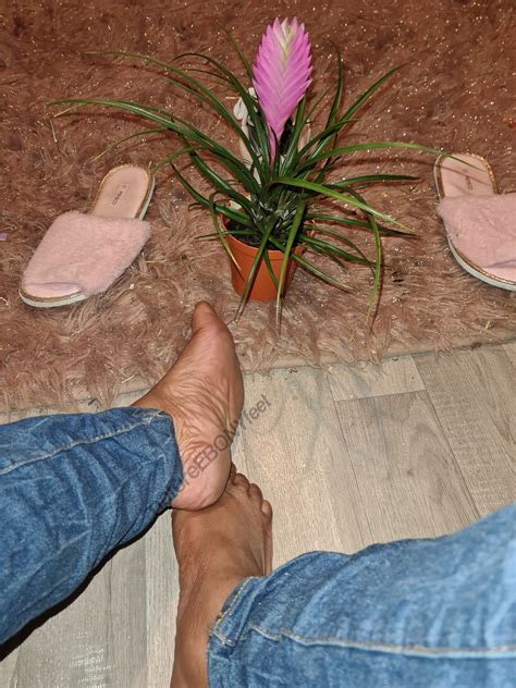 Wu's Feet Links - worship my mature ebony feet