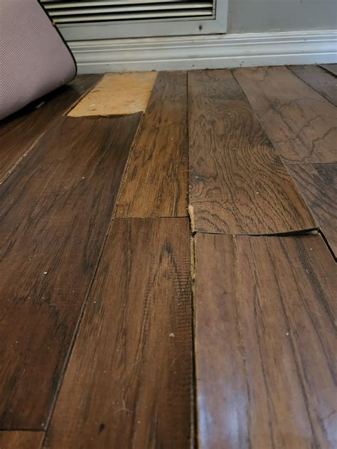 Engineered hardwood ruined/warped from water damage. Options? (see ...