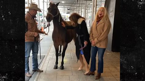 Horse Comes Inside Girl