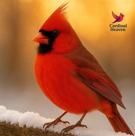 Myers Mortuary | Lebanon IN