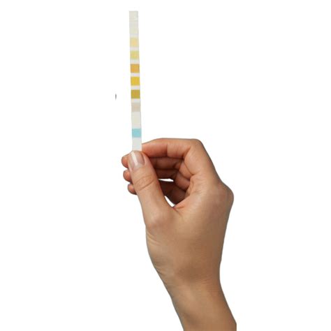 Understanding Occult Blood in Urine: Causes, Diagnosis, and Treatment ...