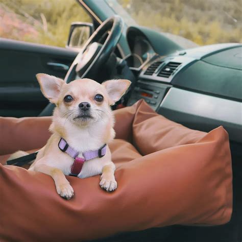 Dog Car Seat | Tan Brown "Pup Spot" by Owleys - Free Shipping Today