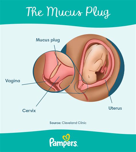 Light Pink Blood In Discharge 38 Weeks Pregnant | Americanwarmoms.org