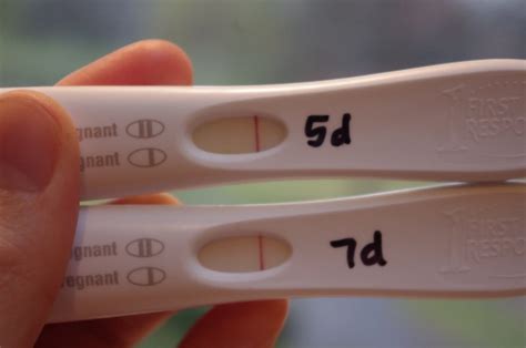 First Signal Pregnancy Test