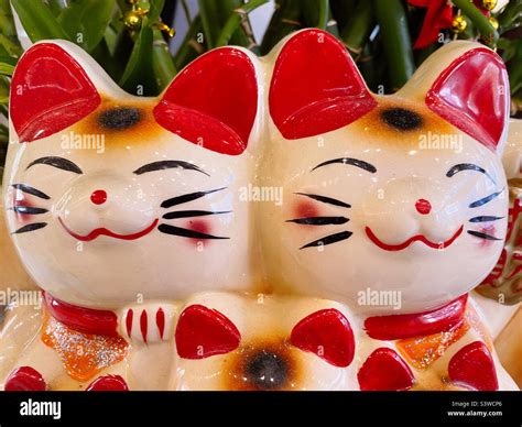 Chinese Lucky Cat Tumblr