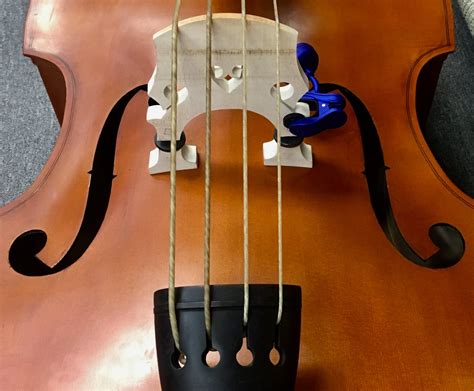 FMI Real Gut Bass Strings for Upright Bass