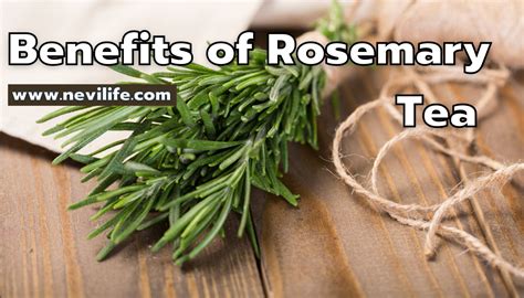 Top Health Benefits of Rosemary Tea for Skin, Hair, and Wellness – nevilife