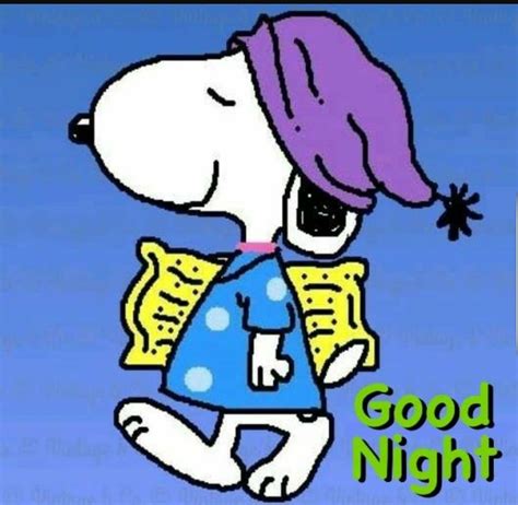 Snoopy Love, Good Night Snoopy, Snoopy E Woodstock, Good Night Funny ...