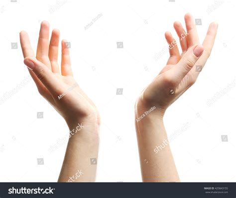 Two Hands Holding Something