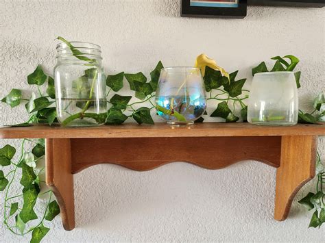 My wife is a plant ninja! Everytime I turn around there is a new plant somewhere in here. : r ...