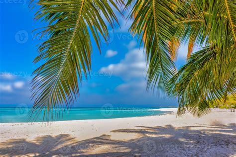 Sunny tropical island beach with palm tree leaves, shadows on white sand, sunny sky turquoise ...