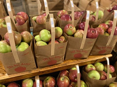 September Trip for Apples - Backyard Road Trips