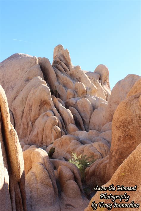 Hiking the Arch Rock Nature Trail - Savor the Moment Photography