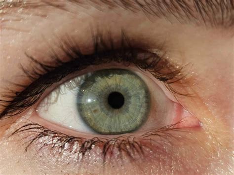 Idk my eye color and I have a cute little beauty mark! : r/eyes