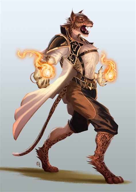 [Art] [OC] Tis a spicy meatball! - Pyromancer Tabaxi Hermit : r/DnD