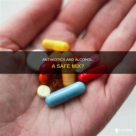 Antibiotics And Alcohol: A Safe Mix? | CyAlcohol