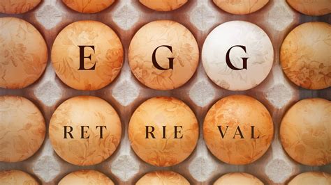 What To Expect During IVF Egg Retrieval - LIFE HEALING LIFE